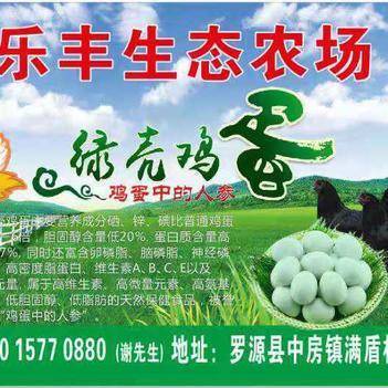深耕源頭，鏈接餐桌 走進農產品批發(fā)供應商謝依燦的惠農網之路