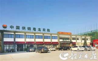 中國供銷農產品批發(fā)市場控股 構建現代化食用農產品流通新格局